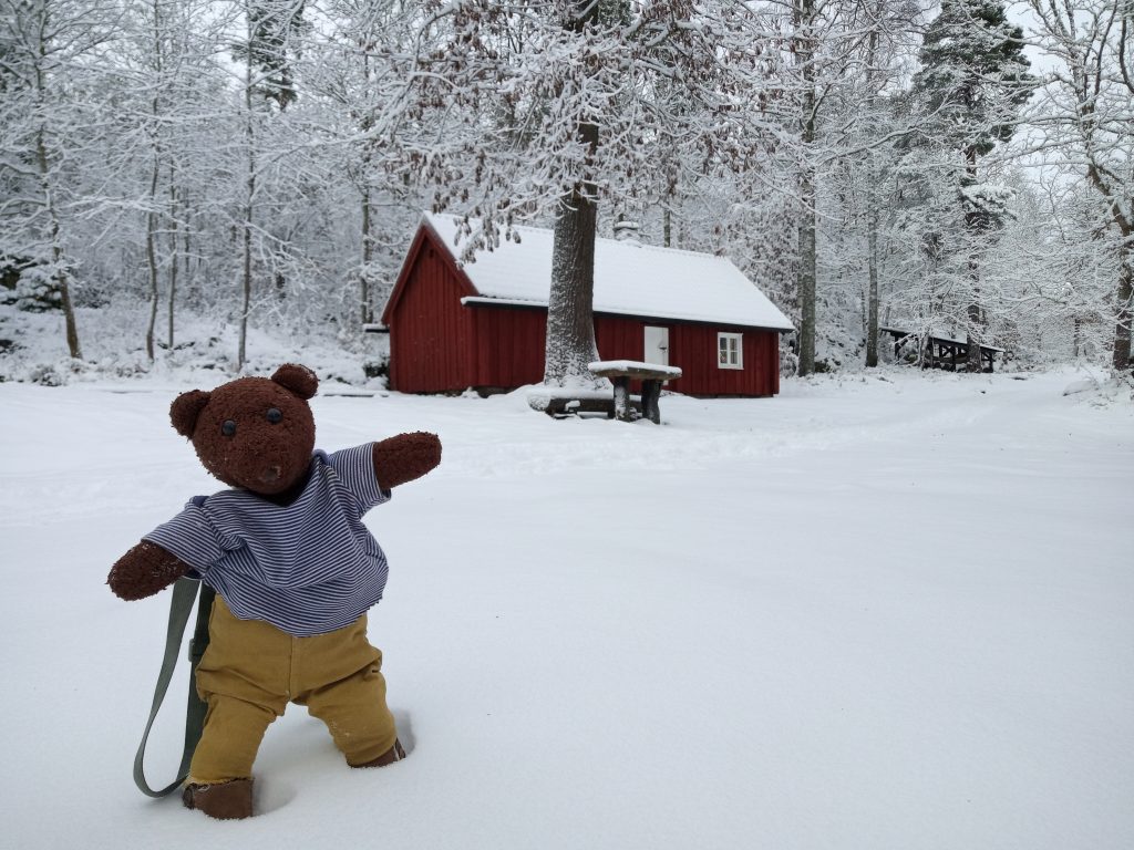 Teddy bear Bearsac standing in snow the foreground of a wooden house