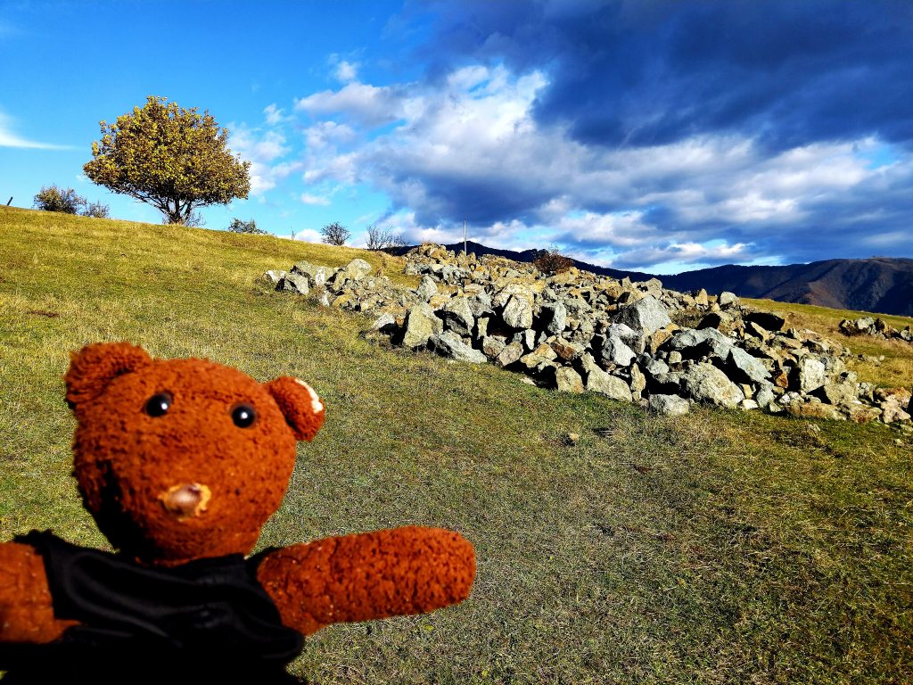 Bearsac the teddy bear in forground of a countryside scene.