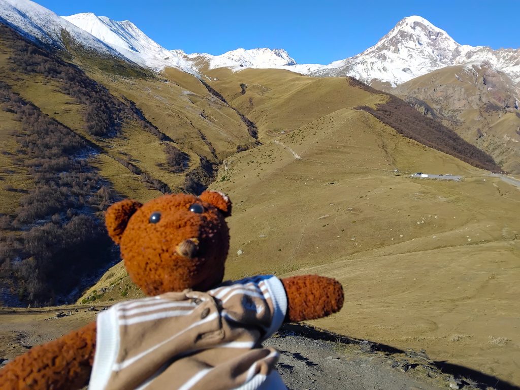 Bearsac the teddy bear in forground moutians.