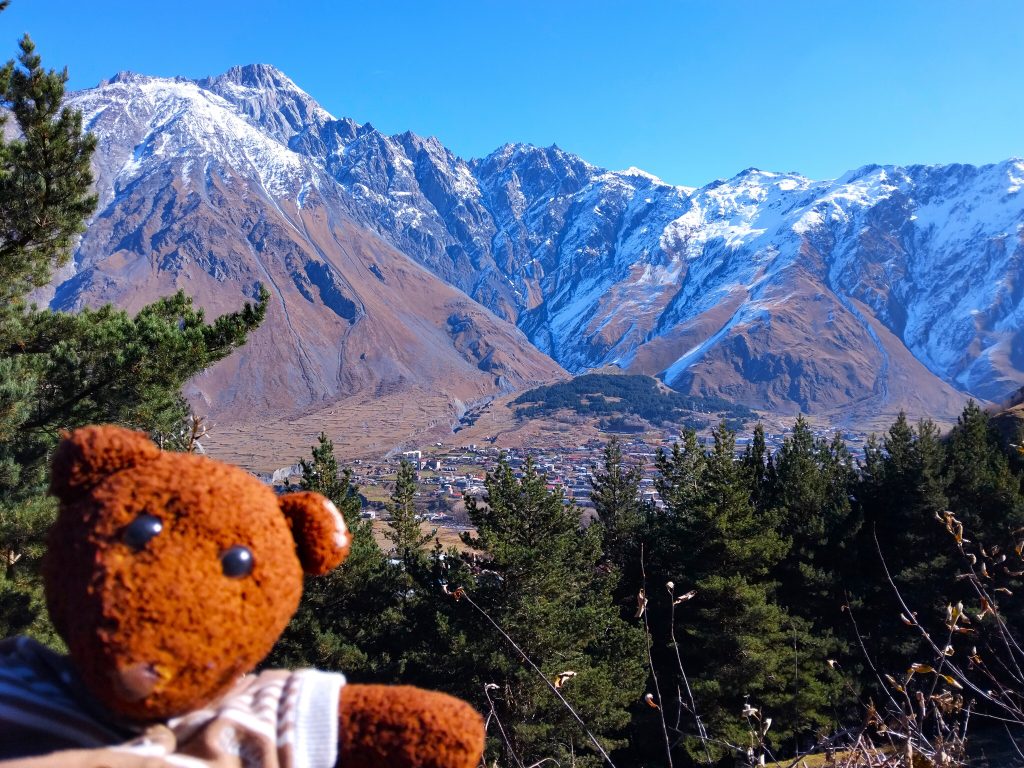 Bearsac the teddy bear in forground of a mountains view.