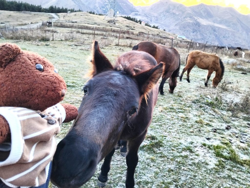 Bearsac the teddy bear stroking a horse in the forground ofa countryside scene.