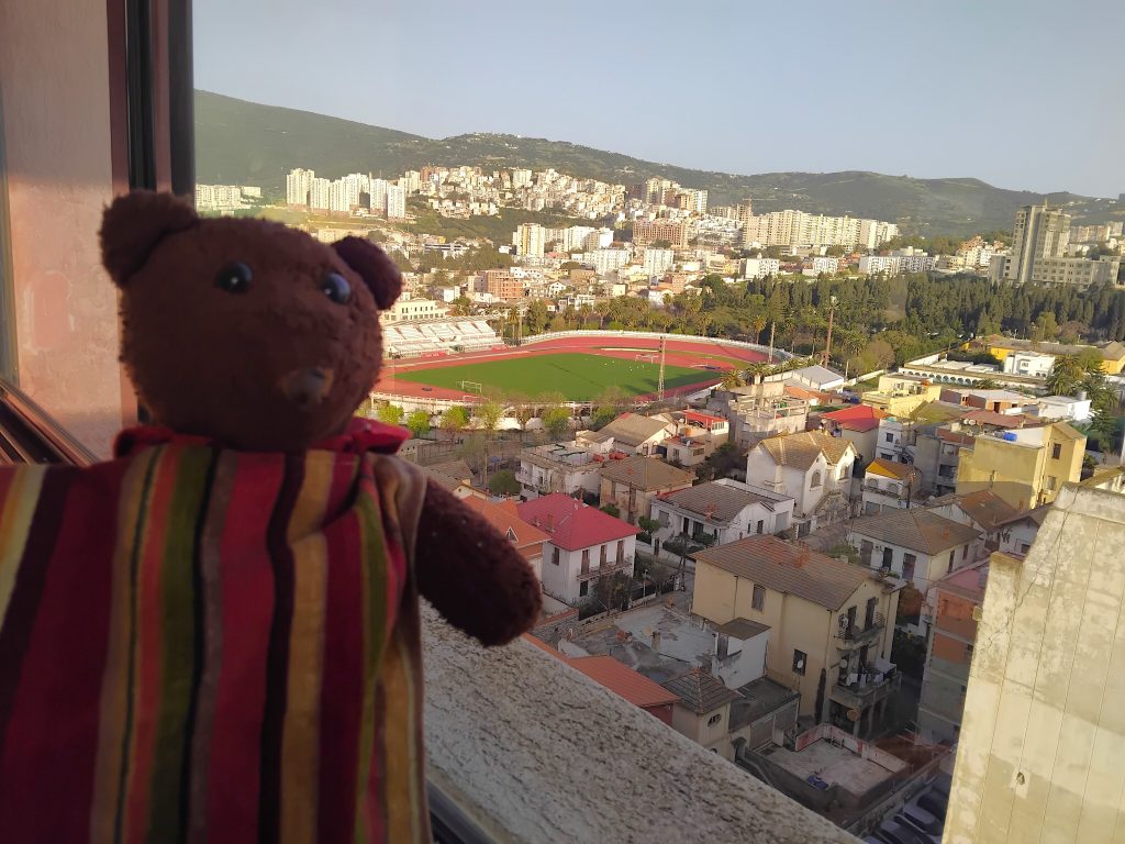 Bearsac the teddy bear in forground of a view of buildings from above