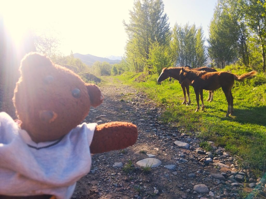 Bearsac the teddy bear in the forerground of horses