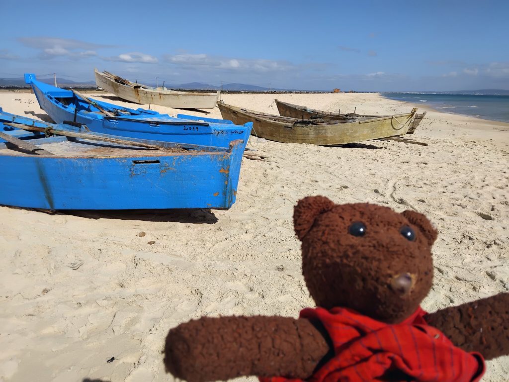 Bearsac the teddy bear in the forground of