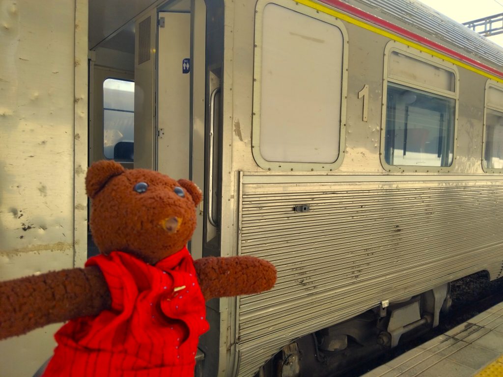 Bearsac the teddy bear in the forground of