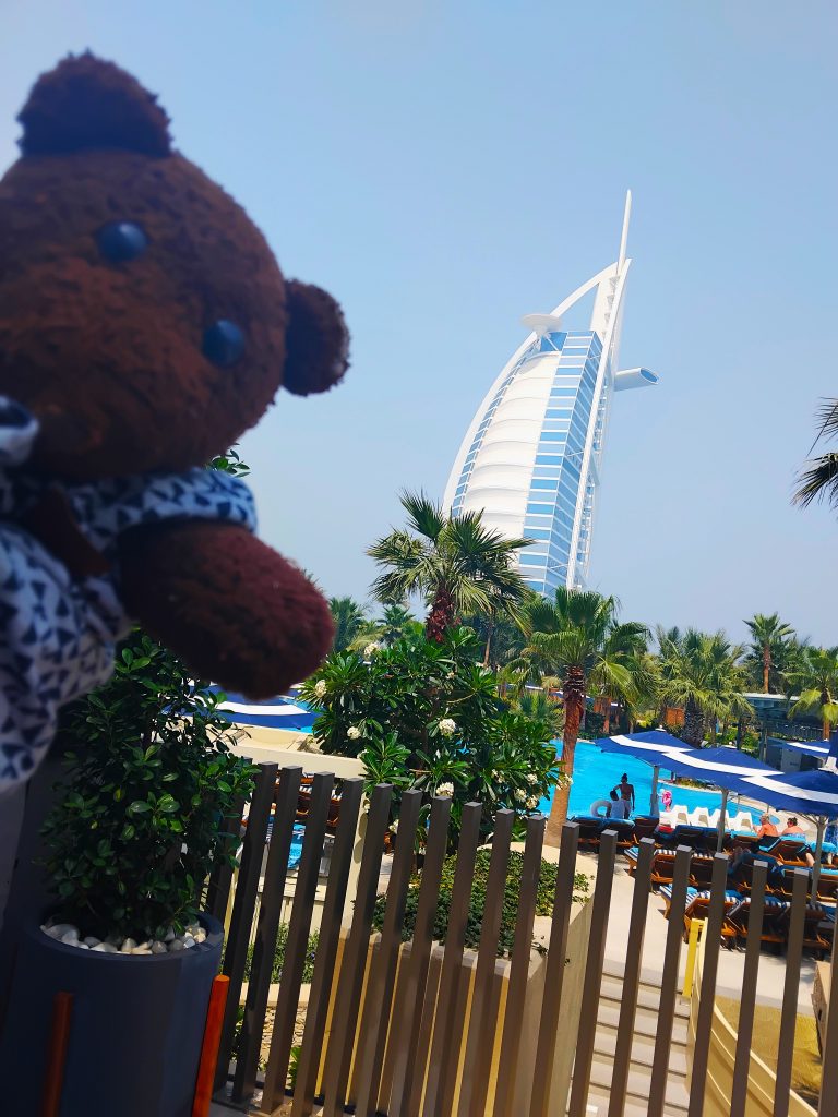 Bearsac the teddy bear in foreground of