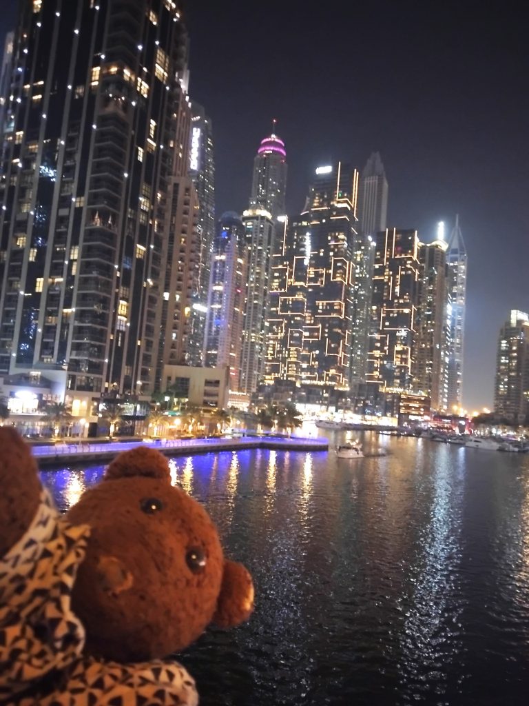 Bearsac the teddy bear in foreground of