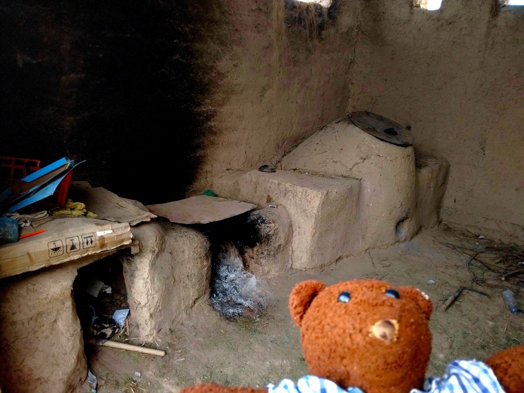 Bearsac the teddy bear in the forground of mud stoves
