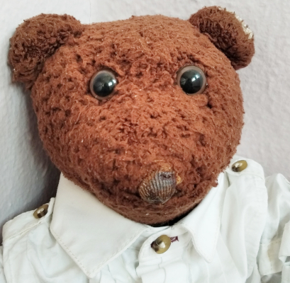 Head and shoulders photo of Bearasc wearing a white buttoned shirt for the About page