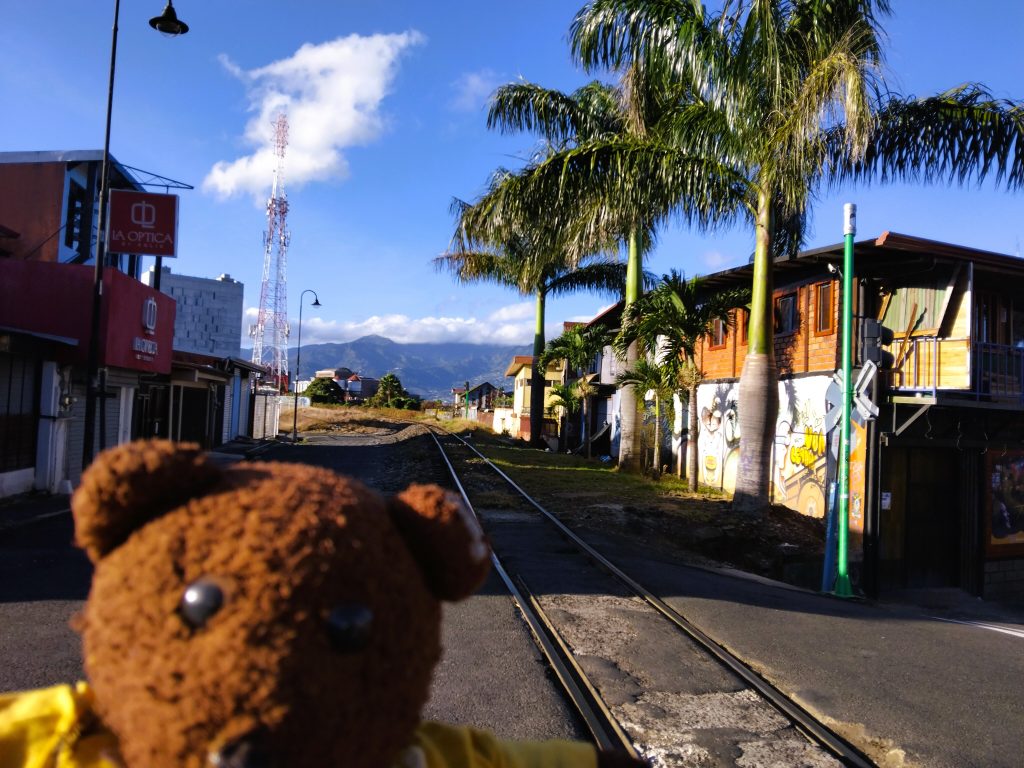 Bearsac the teddy bear in foreground of a railway track and palm trees.