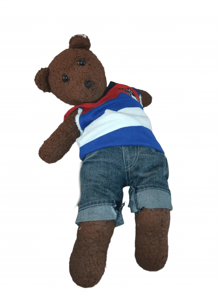 Bearasc the teddy bear wearing a red, white and blue sports top. And blue jeans.