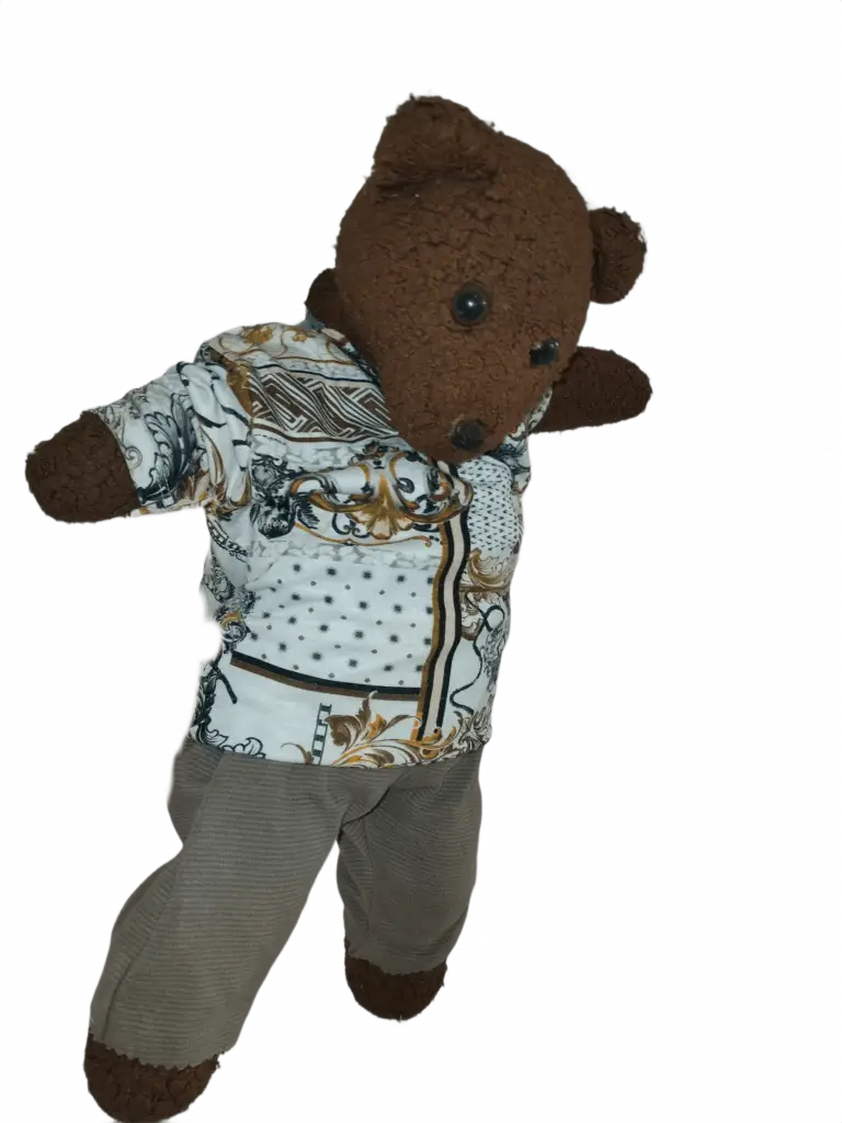 Bearasc the teddy bear wearing a white top with undefined image.
