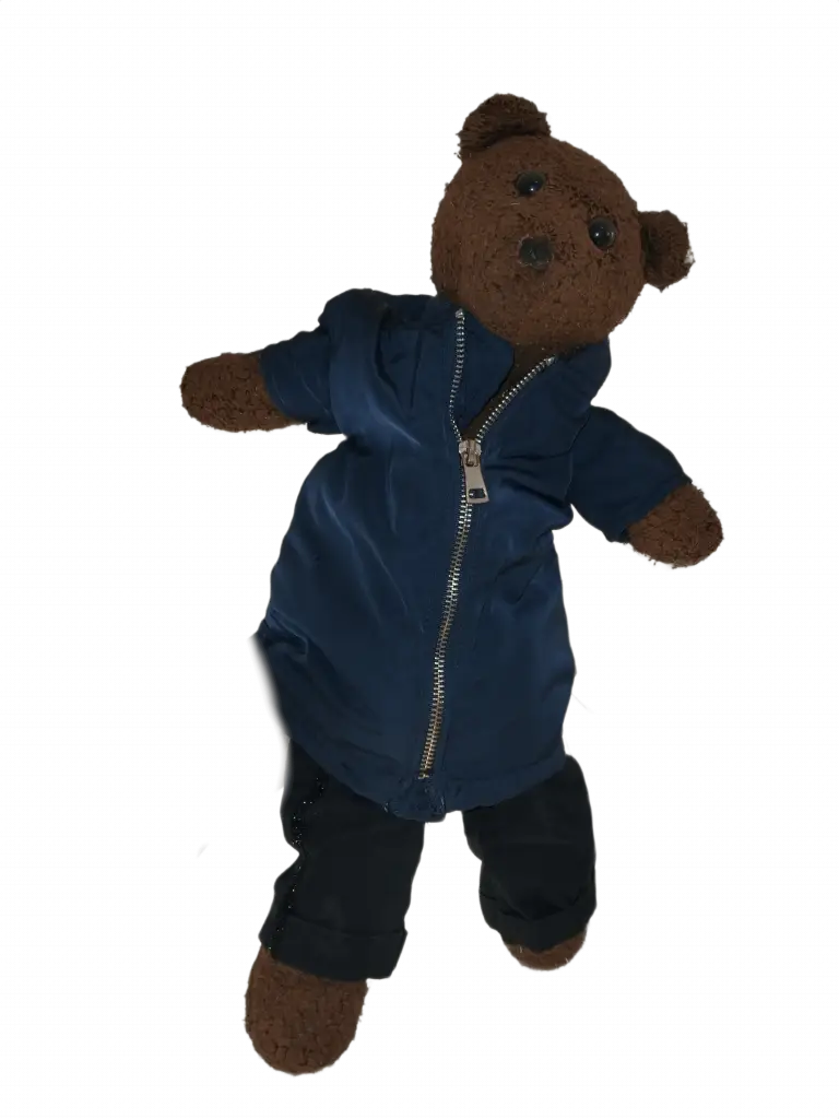 Bearasc the teddy bear wearing a nvay bluzipped coat and black trousers.