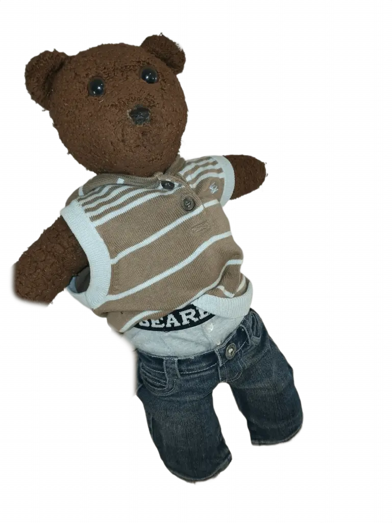 Bearasc the teddy bear wearing a light blue and brown striped hoody, with the hood down. And blue jeans.