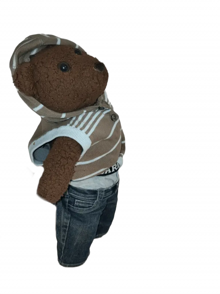 Bearasc the teddy bear wearing a light blue and brown striped hoody, with the hood up. And blue jeans.