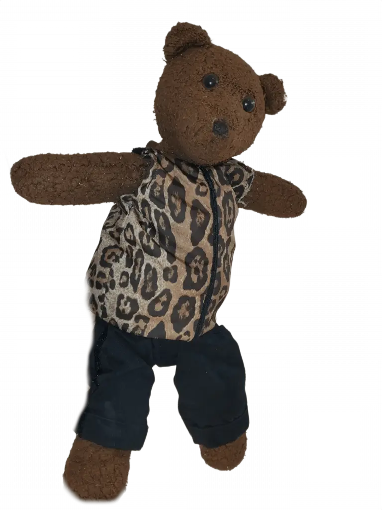 Bearasc the teddy bear wearing a leopard print top and black trousers.