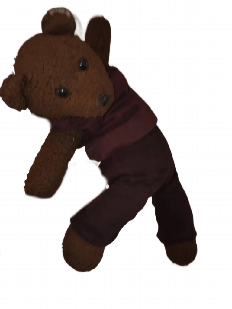 Bearasc the teddy bear wearing a magenata top and black trousers.