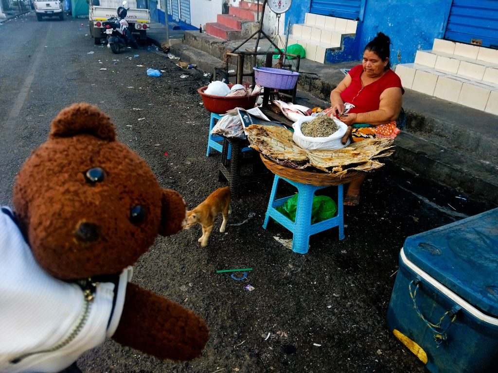 Bearsac the teddy bear in foreground of a woman selling fish with a hopeful cat beside the fish.