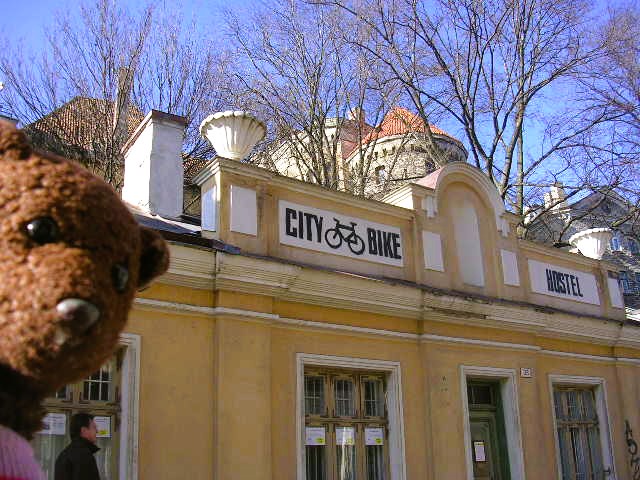 Bearsac in forground of City Bike Hostel