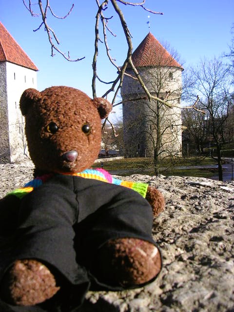 Bearsac in forground of Kiek in de Kök