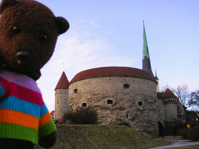 Bearsac in the foreground of Fat Margaret. Tower.