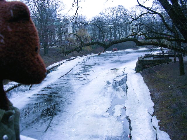 Bearsac forground of an icy river.