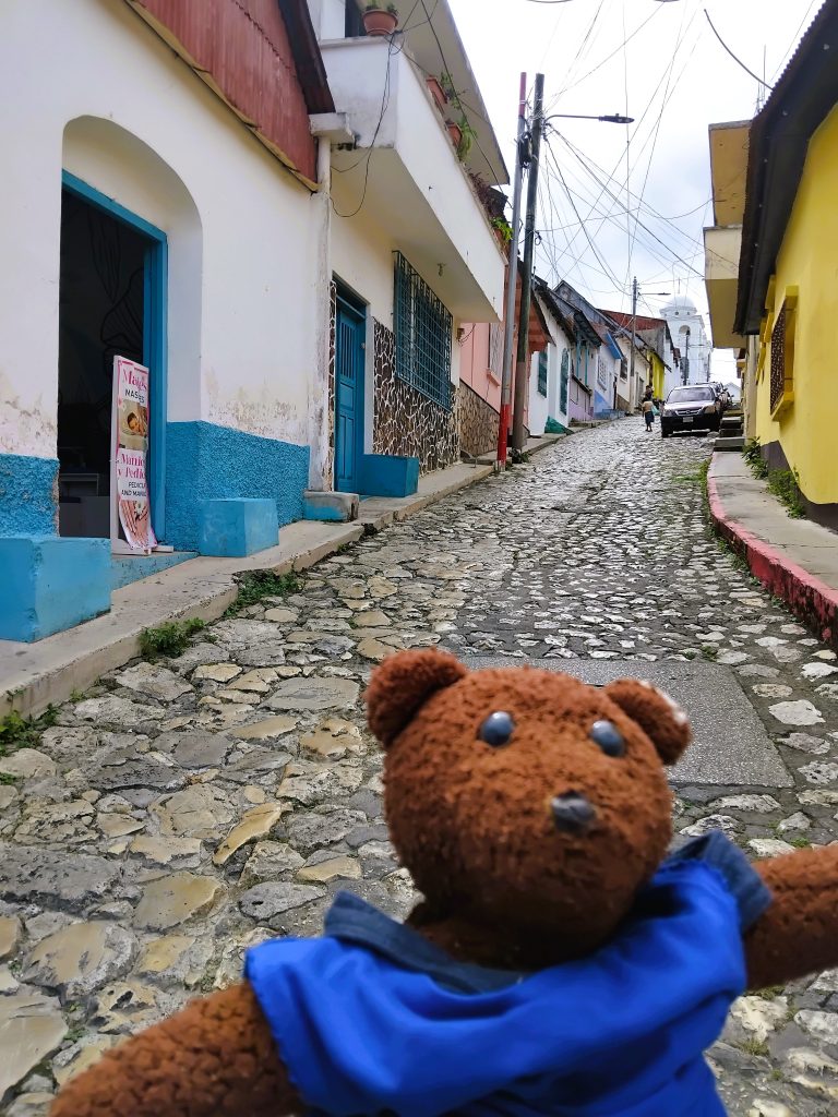 Bearsac the teddy bear in foreground of a narrow street with a stone road.