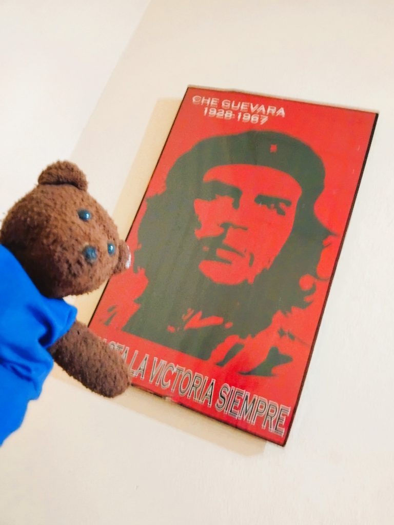 Bearsac the teddy bear in foreground of a poster of Che Guevara.