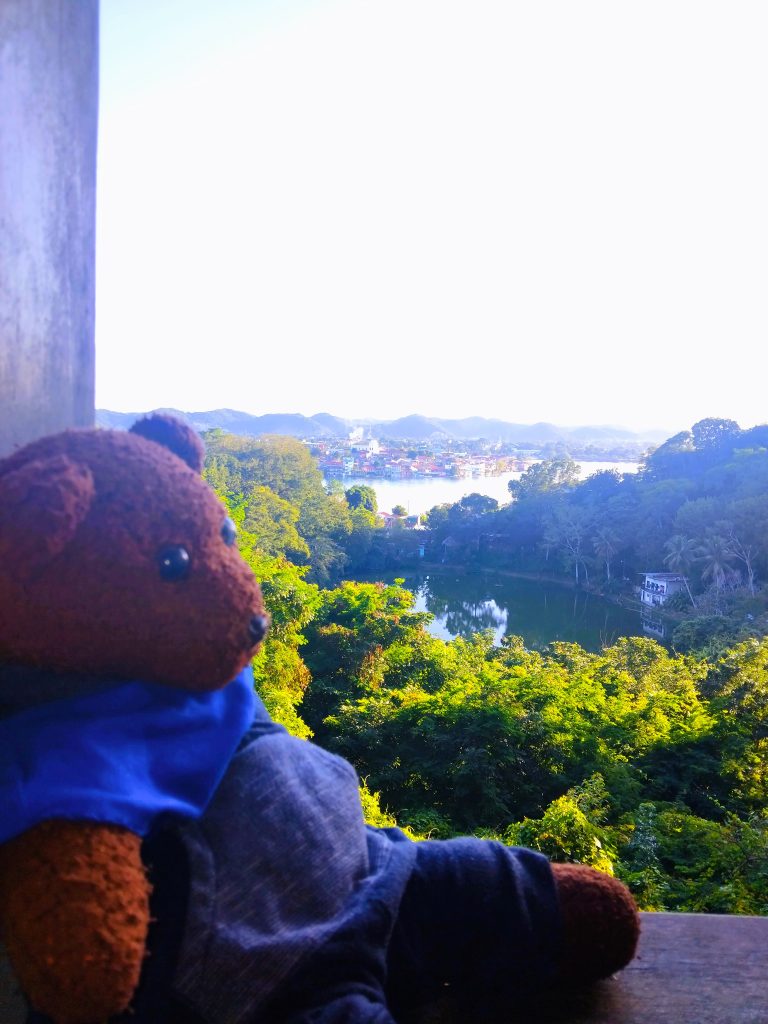 Bearsac the teddy bear in foreground of a trees and lakes scene.