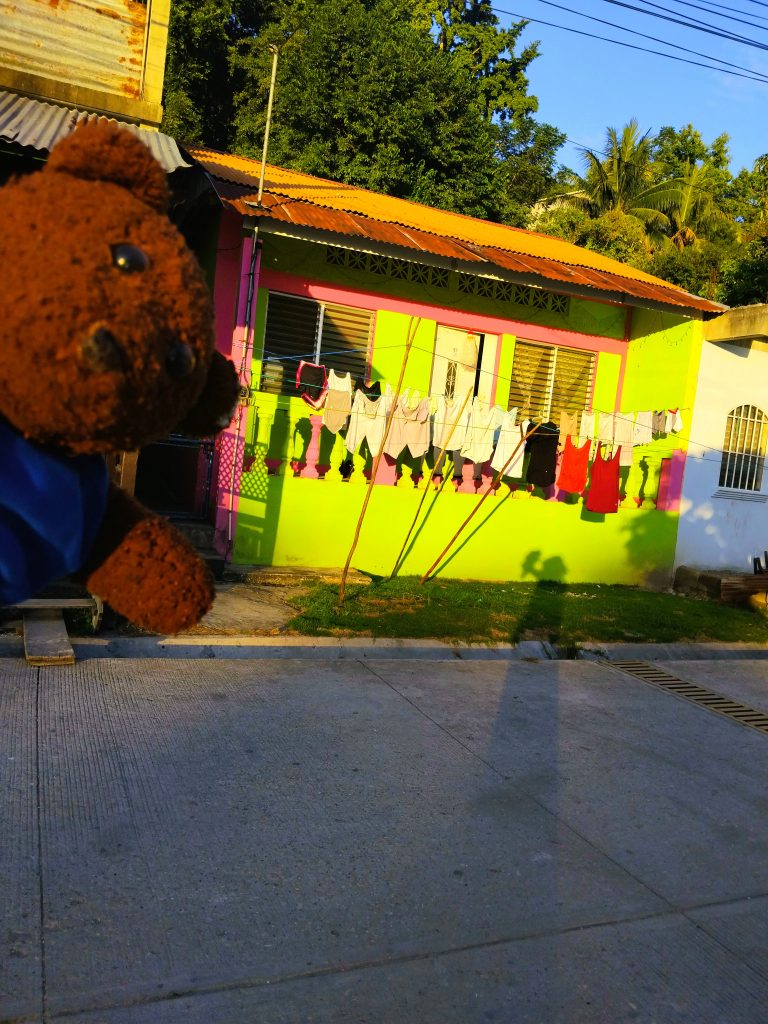 Bearsac the teddy bear in foreground of aflorescent gree house with washing hung up outside.
