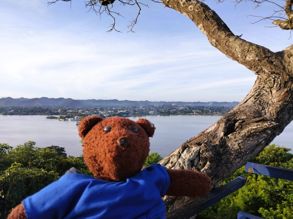 Bearsac the teddy bear in foreground of Flores Island and the lake.