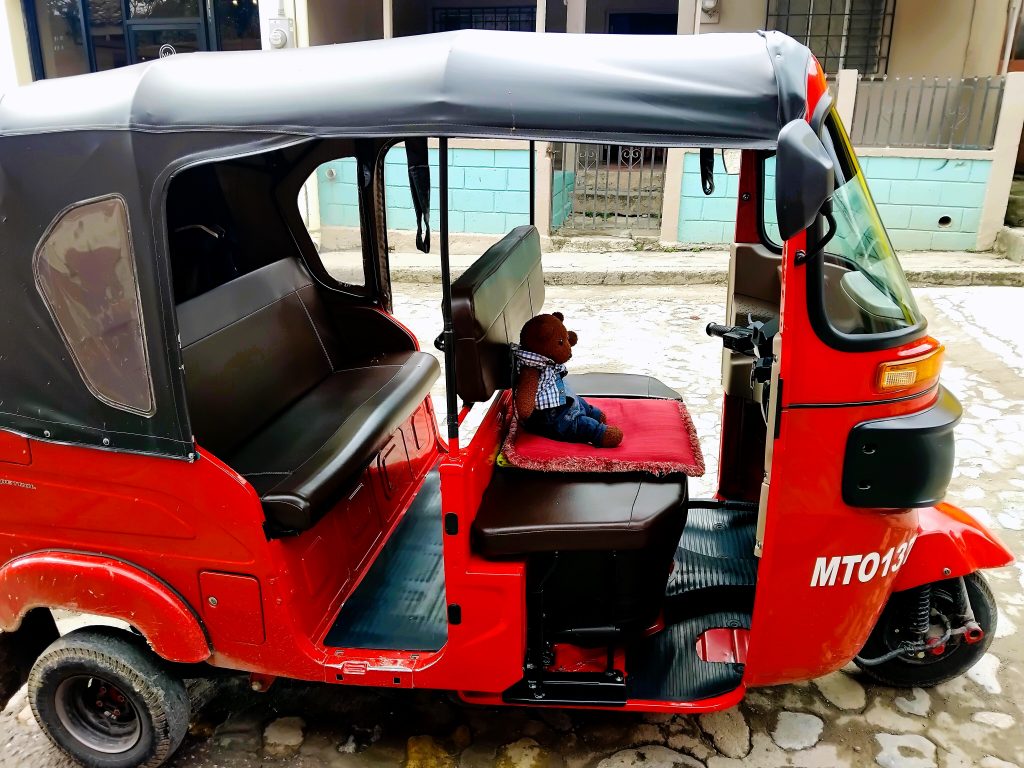 Bearsac the teddy bear in a tuk-tuk driving seat.