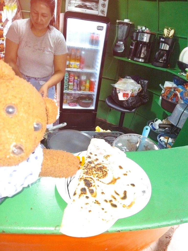 Bearsac the teddy bear witha flat bread.