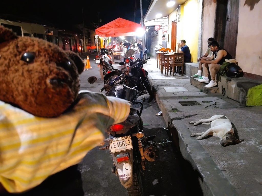 Bearsac the teddy bear in foreground of of a nighttime street scene with human sitting on stoop and adog lying on the pavement.