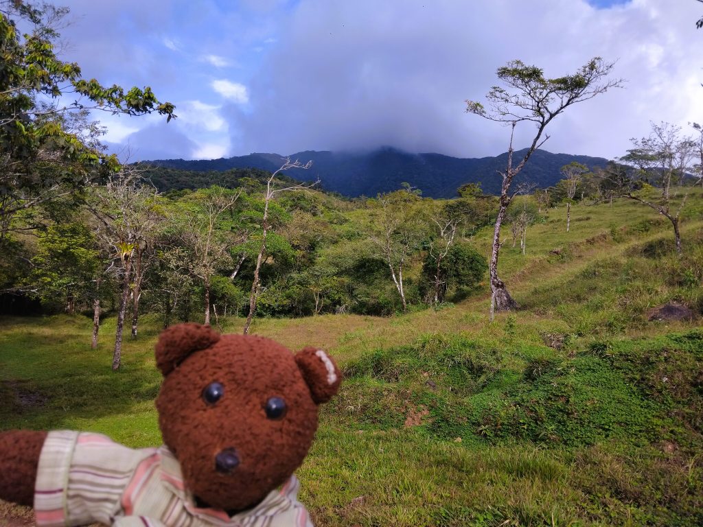 Bearsac the teddy bear in foreground of countryside and mountains.