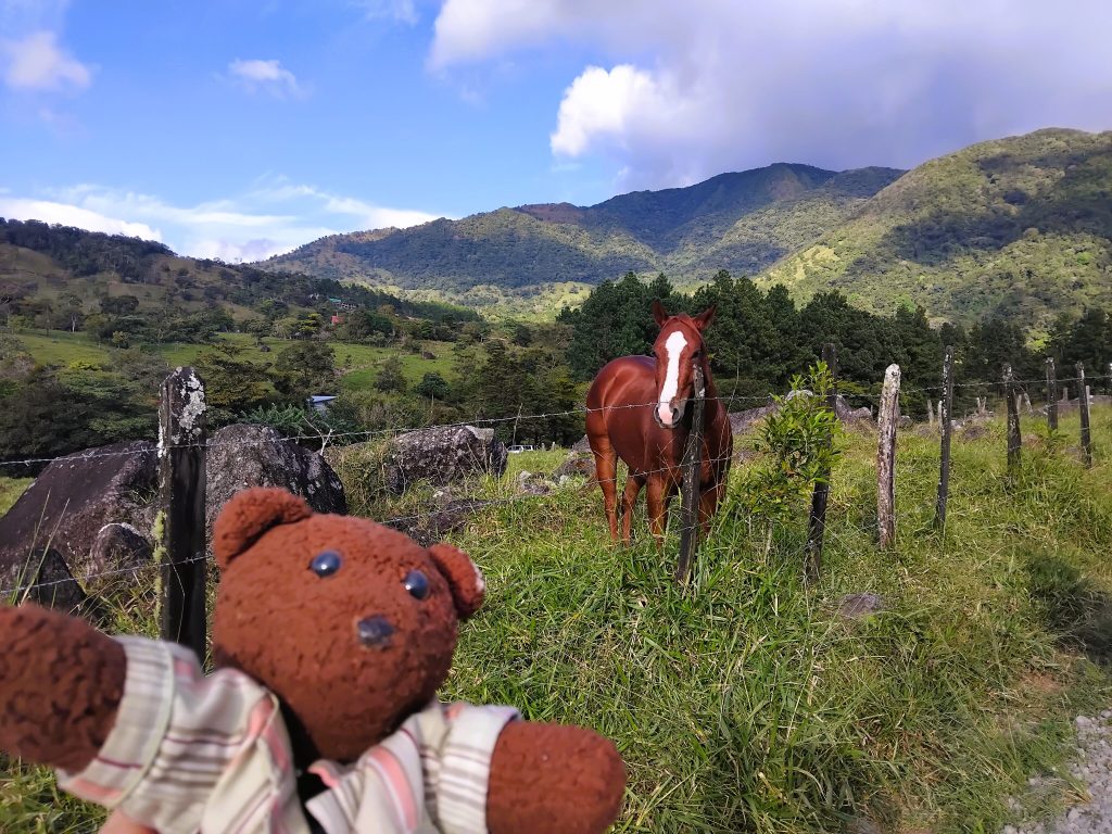 Bearsac the teddy bear in foreground of countyside, mountains and a brown horse.