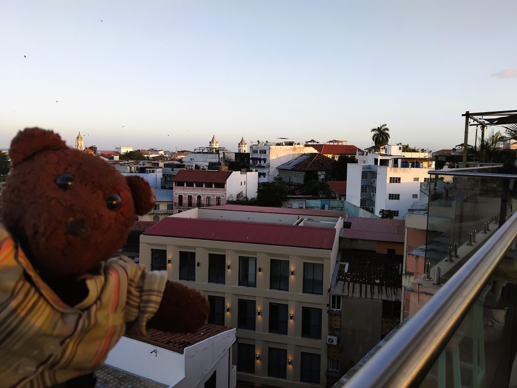 Bearsac the teddy bear in foreground of an old town scene.