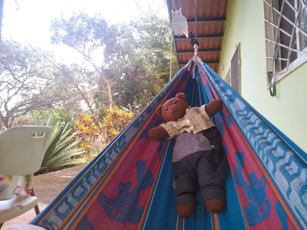 Bearsac the teddy bear in a hammock.