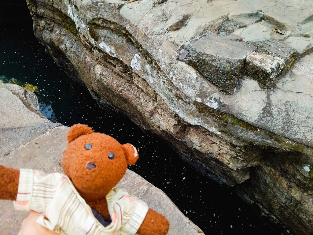 Bearsac the teddy bear in foreground of a small creek.