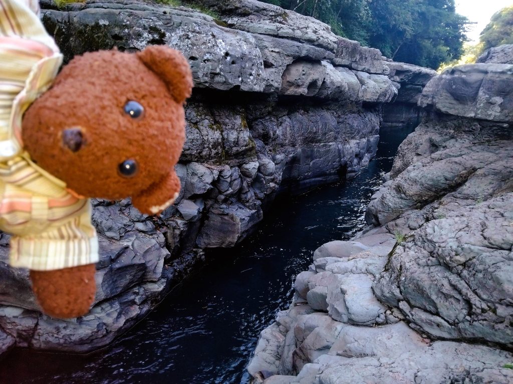 Bearsac the teddy bear in foreground of a small creek.
