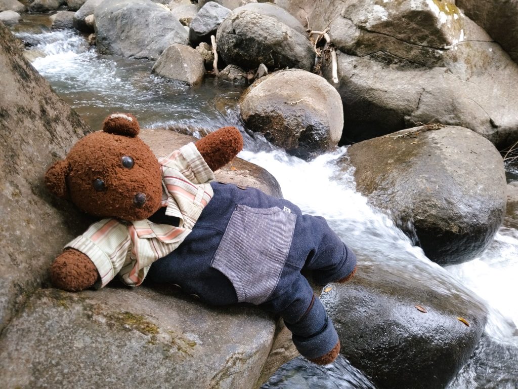 Bearsac the teddy bear in foreground of a small waterfall.
