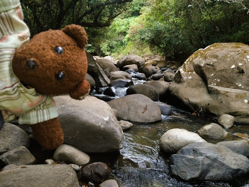 Bearsac the teddy bear in foreground of river.