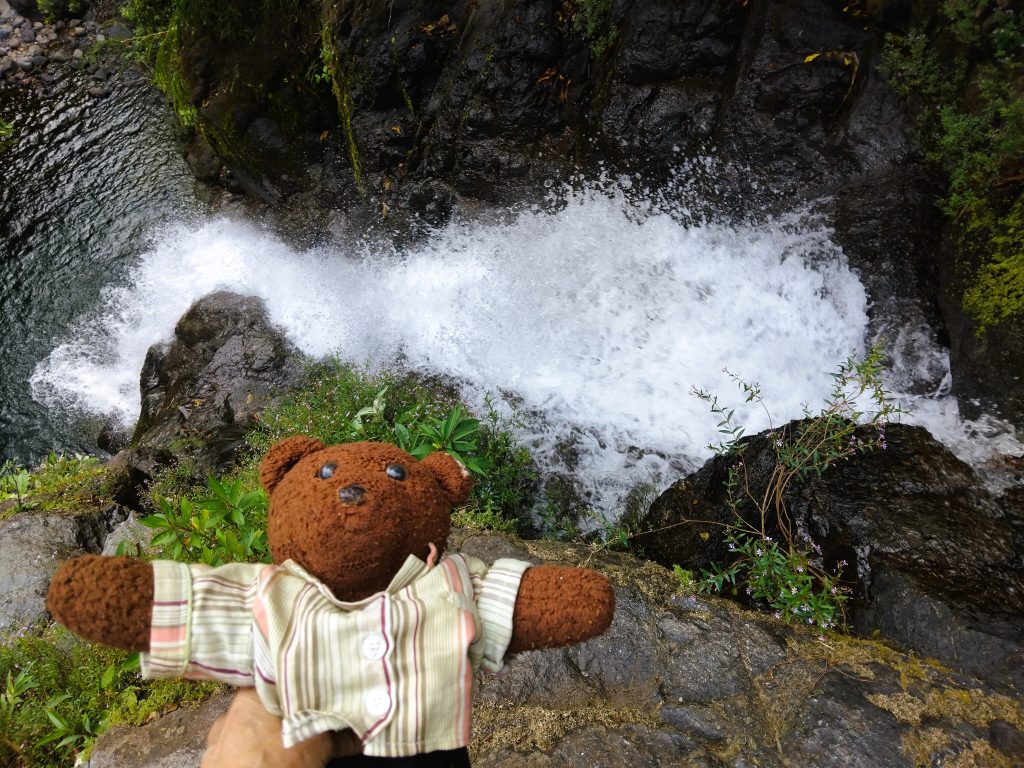 Bearsac the teddy bear in foreground of a waterfall.