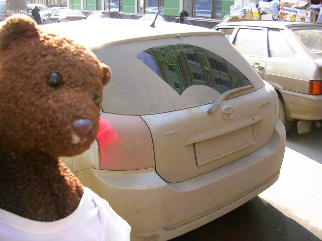 Bearsac in the frorground of an extremely dirty car