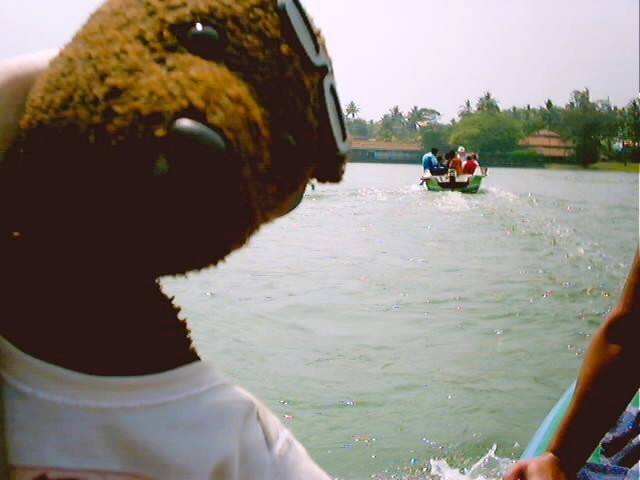 Bearsac the teddy bear on a boat in forground of another speed boat.