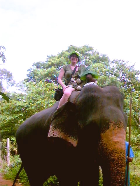Bearsac, Choc-Ice and Debra wearing hats made from large leaves,sitting on an elepahnt