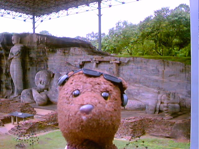 Bearsac the teddy bear in forground of the Reclining Budha