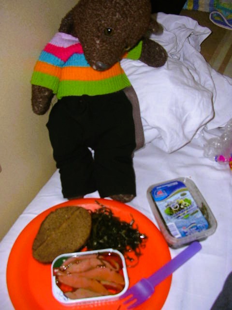 Bearac with a plate on food on the train bed.