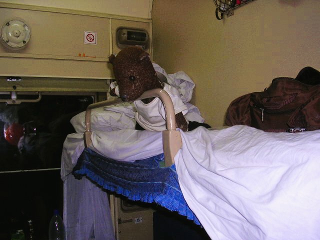 Bearsac on the train bed.