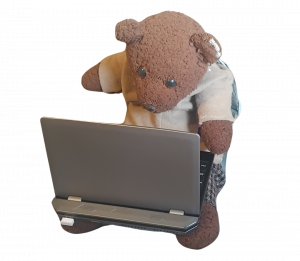Bearsac the teddy bear witha small laptop on his lap